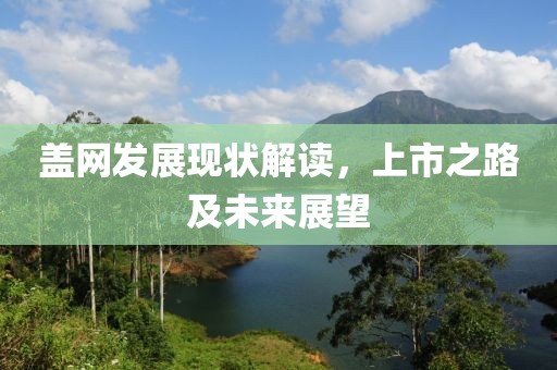 盖网发展现状解读，上市之路及未来展望