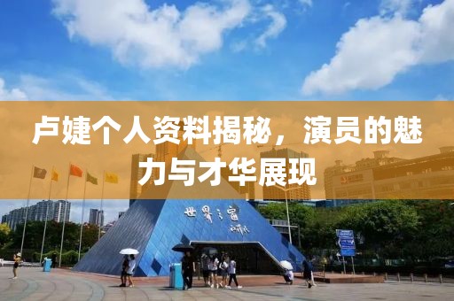 卢婕个人资料揭秘，演员的魅力与才华展现