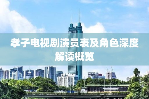 孝子电视剧演员表及角色深度解读概览