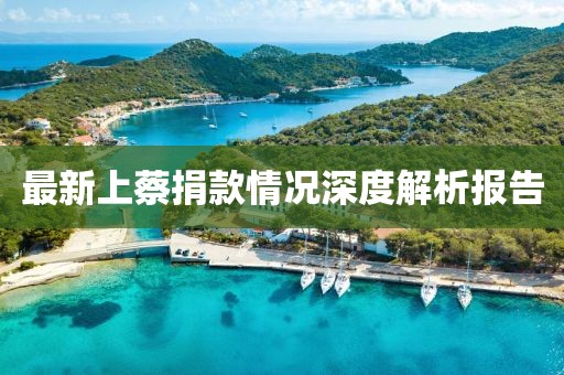 最新上蔡捐款情况深度解析报告