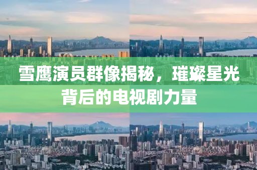 雪鹰演员群像揭秘，璀璨星光背后的电视剧力量