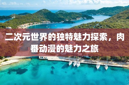 二次元世界的独特魅力探索，肉番动漫的魅力之旅
