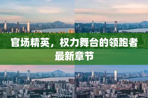 官场精英，权力舞台的领跑者最新章节