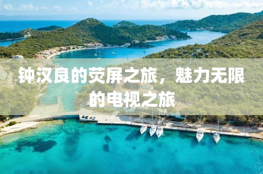 钟汉良的荧屏之旅，魅力无限的电视之旅