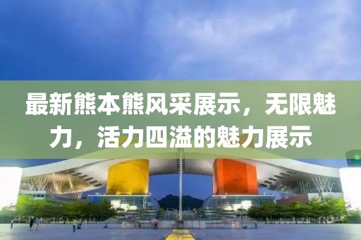 最新熊本熊风采展示，无限魅力，活力四溢的魅力展示