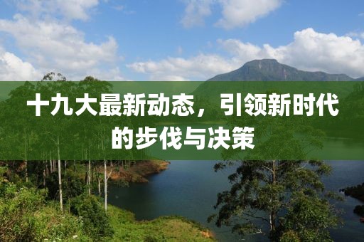 十九大最新动态，引领新时代的步伐与决策