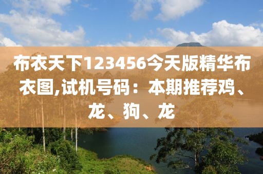 布衣天下123456今天版精华布衣图,试机号码：本期推荐鸡、龙、狗、龙