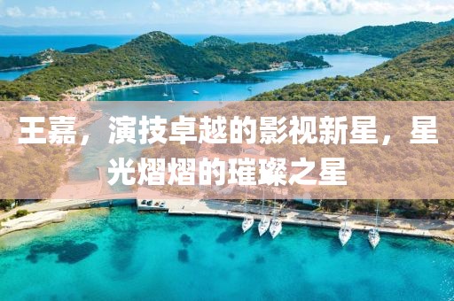 王嘉，演技卓越的影视新星，星光熠熠的璀璨之星