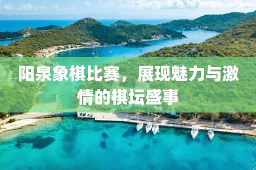 阳泉象棋比赛，展现魅力与激情的棋坛盛事