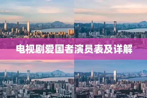 电视剧爱国者演员表及详解