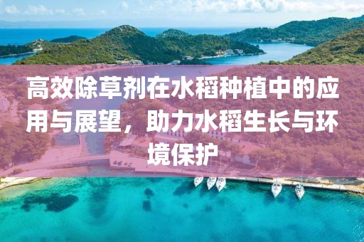 高效除草剂在水稻种植中的应用与展望，助力水稻生长与环境保护