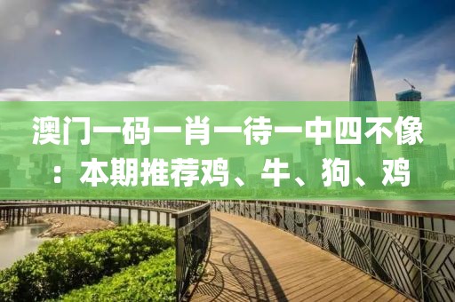 澳门一码一肖一待一中四不像：本期推荐鸡、牛、狗、鸡