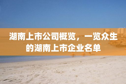 湖南上市公司概览，一览众生的湖南上市企业名单