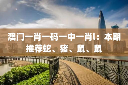 澳门一肖一码一中一肖l：本期推荐蛇、猪、鼠、鼠