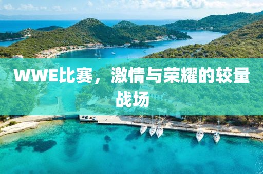 WWE比赛，激情与荣耀的较量战场
