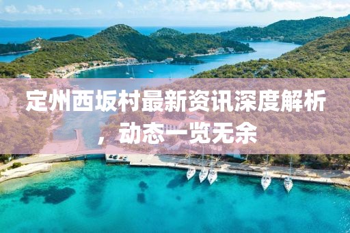 定州西坂村最新资讯深度解析，动态一览无余