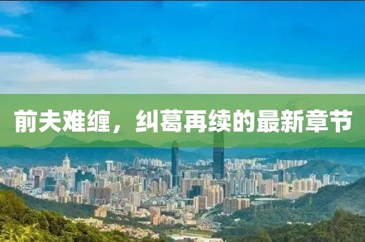 前夫难缠，纠葛再续的最新章节