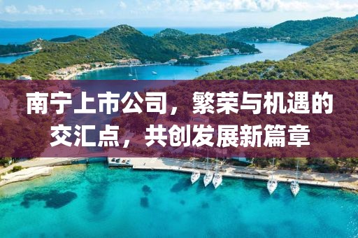 南宁上市公司，繁荣与机遇的交汇点，共创发展新篇章