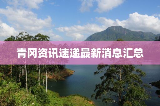 青冈资讯速递最新消息汇总