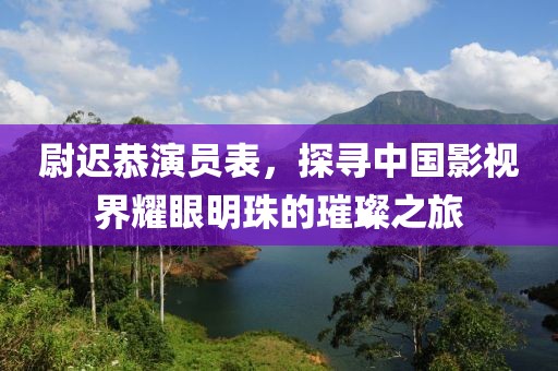 尉迟恭演员表，探寻中国影视界耀眼明珠的璀璨之旅