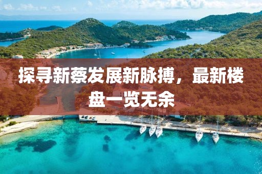2025年6月11日 第4页