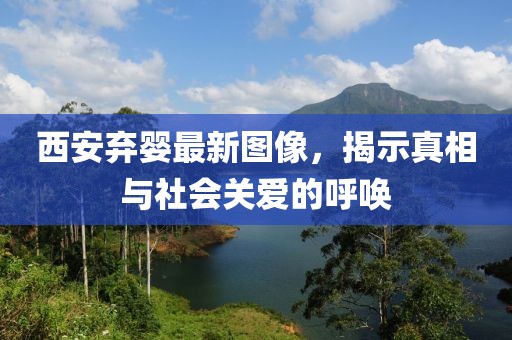 西安弃婴最新图像，揭示真相与社会关爱的呼唤