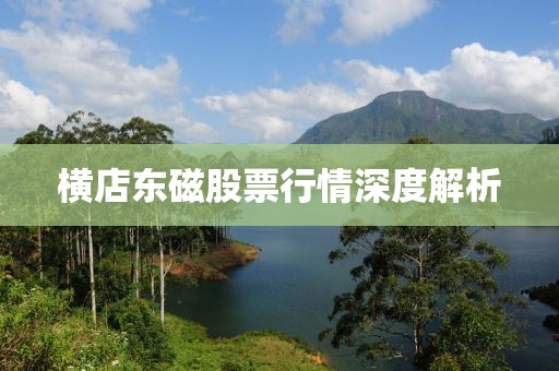 横店东磁股票行情深度解析