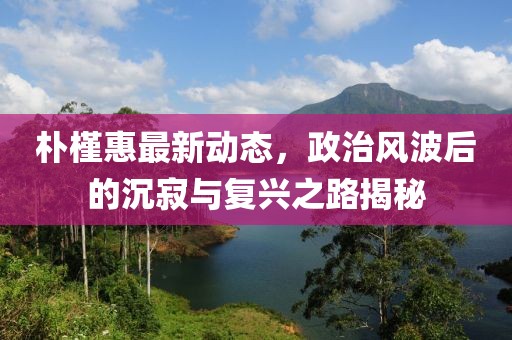 朴槿惠最新动态，政治风波后的沉寂与复兴之路揭秘