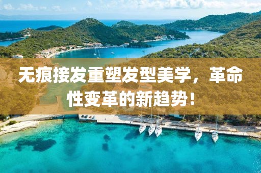 无痕接发重塑发型美学，革命性变革的新趋势！