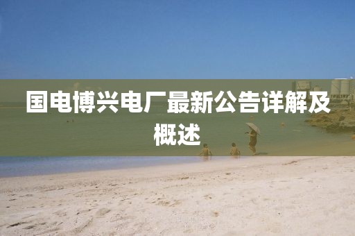 国电博兴电厂最新公告详解及概述