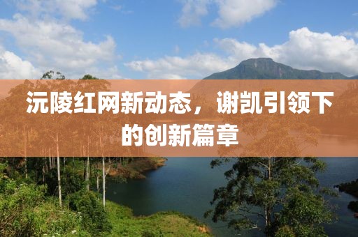 沅陵红网新动态，谢凯引领下的创新篇章