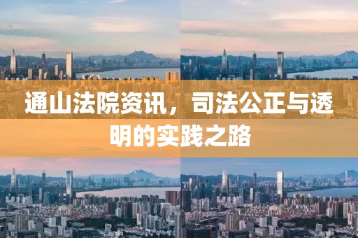 通山法院资讯，司法公正与透明的实践之路