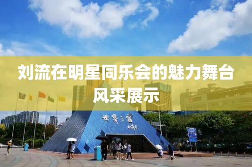 刘流在明星同乐会的魅力舞台风采展示