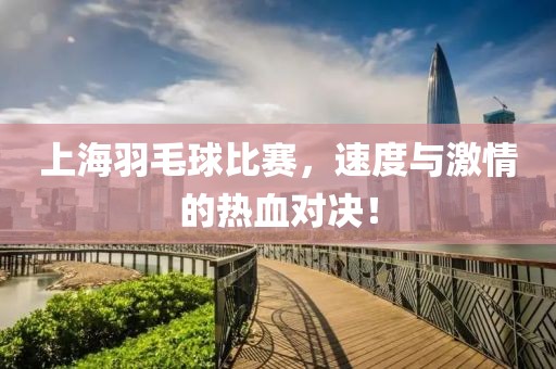 上海羽毛球比赛，速度与激情的热血对决！