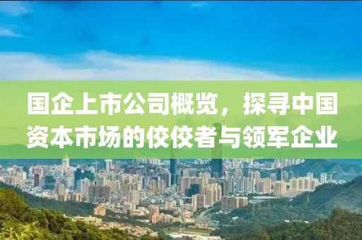 国企上市公司概览，探寻中国资本市场的佼佼者与领军企业