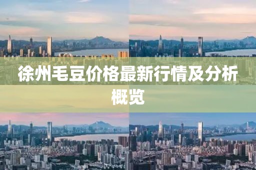 徐州毛豆价格最新行情及分析概览