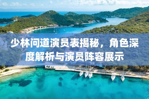 少林问道演员表揭秘，角色深度解析与演员阵容展示