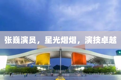 张巍演员，星光熠熠，演技卓越