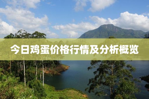 今日鸡蛋价格行情及分析概览