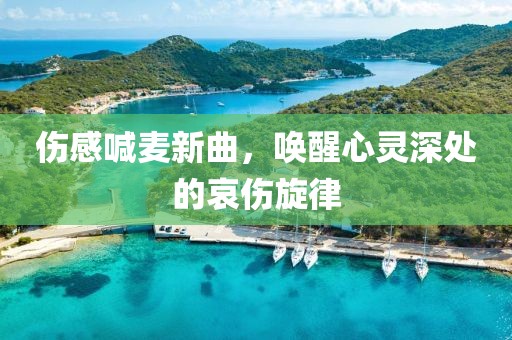 伤感喊麦新曲，唤醒心灵深处的哀伤旋律