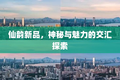 仙韵新品，神秘与魅力的交汇探索
