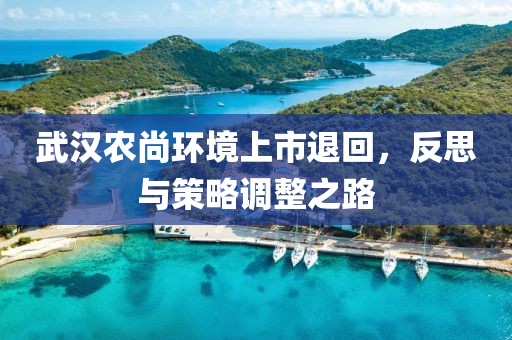 武汉农尚环境上市退回，反思与策略调整之路