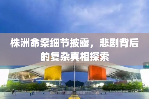 株洲命案细节披露，悲剧背后的复杂真相探索