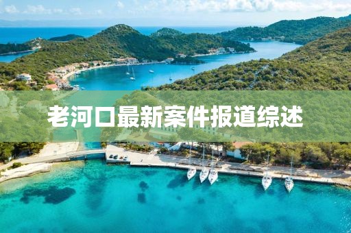 老河口最新案件报道综述