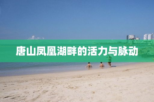 唐山凤凰湖畔的活力与脉动