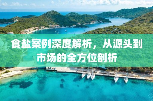 食盐案例深度解析，从源头到市场的全方位剖析