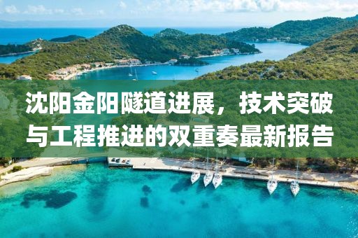 沈阳金阳隧道进展，技术突破与工程推进的双重奏最新报告