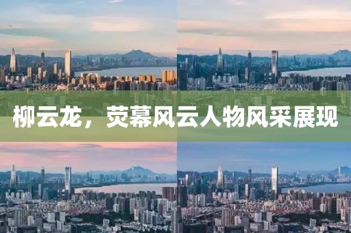 柳云龙，荧幕风云人物风采展现