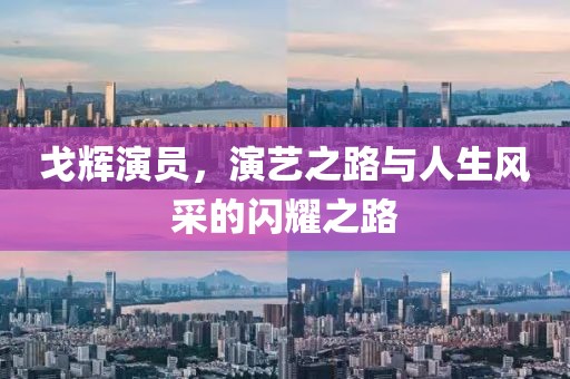 戈辉演员，演艺之路与人生风采的闪耀之路