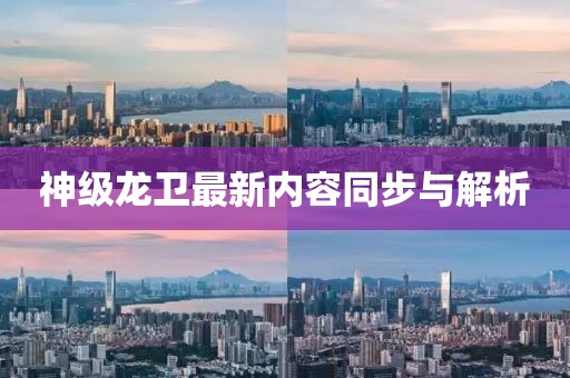 神级龙卫最新内容同步与解析